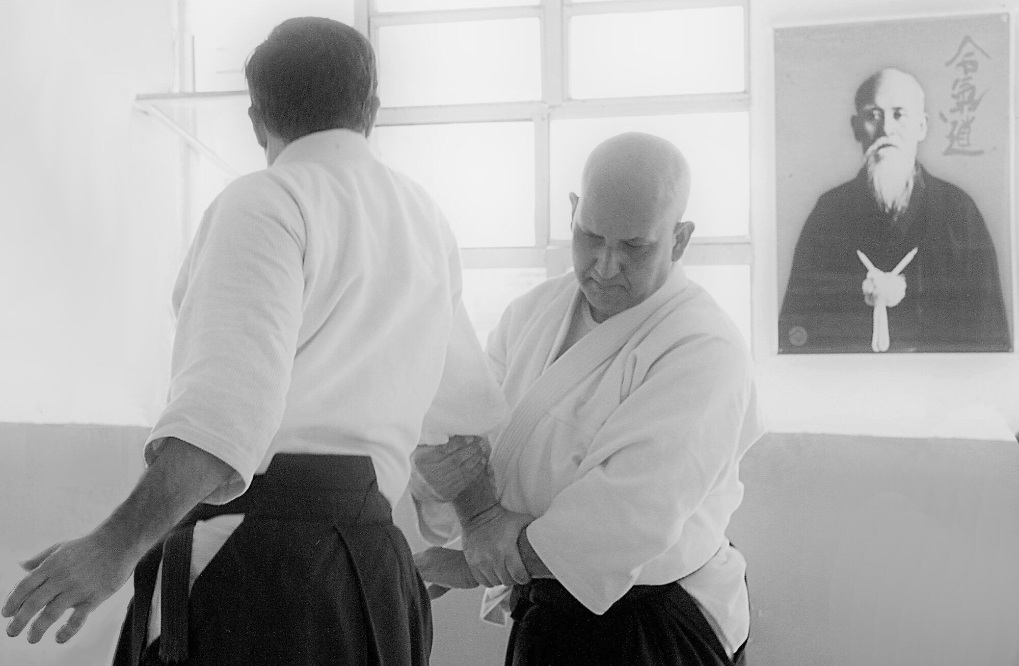 Ganseki Kai Aikido